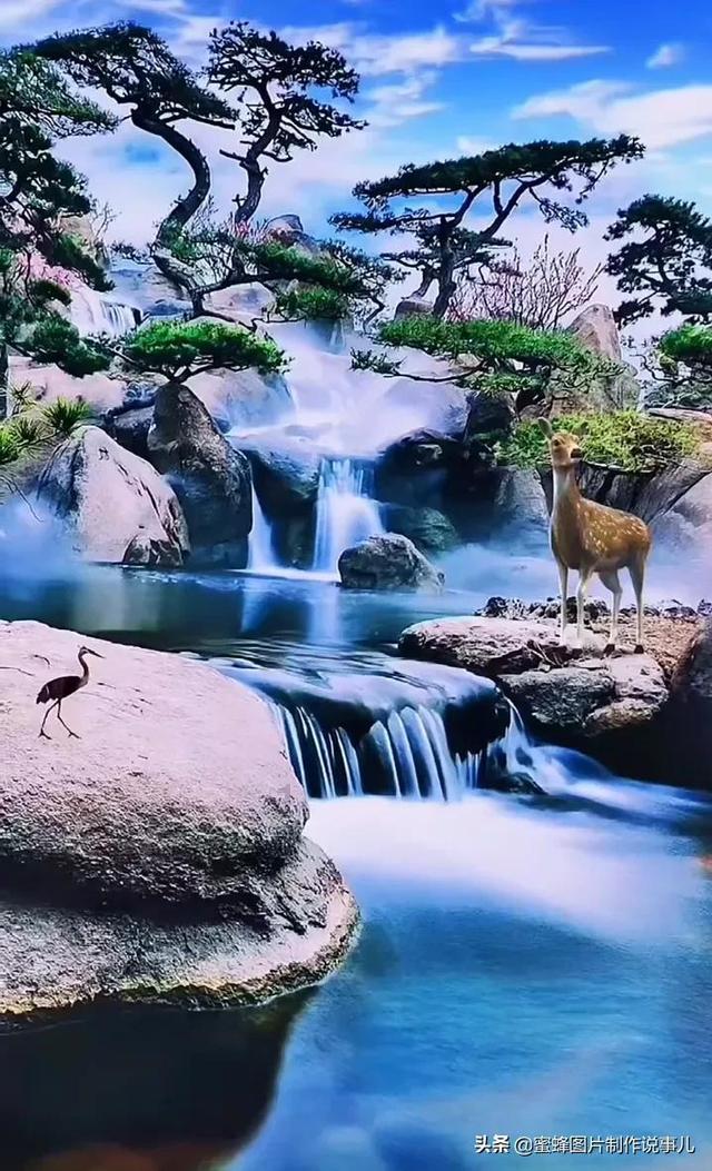 拯救蓝色小鸟